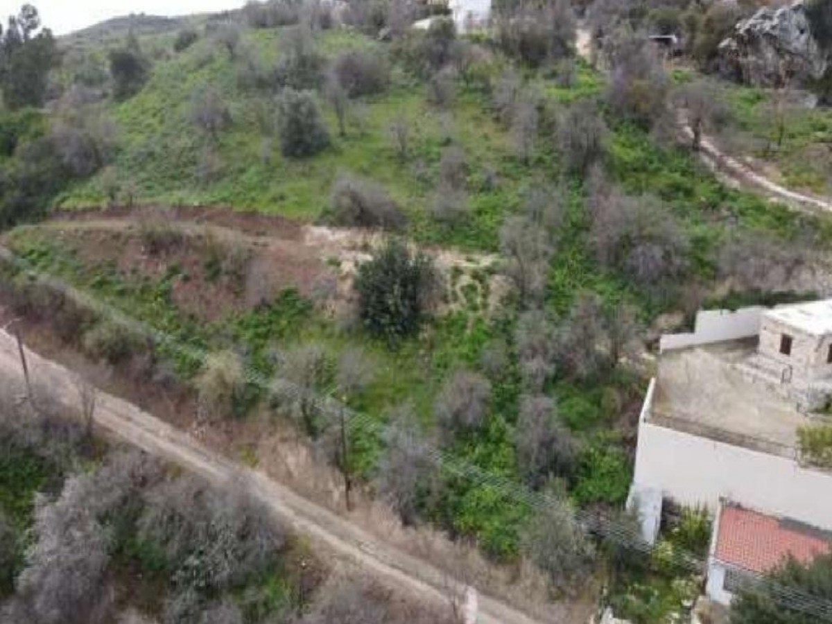 Field - Episkopi, Paphos