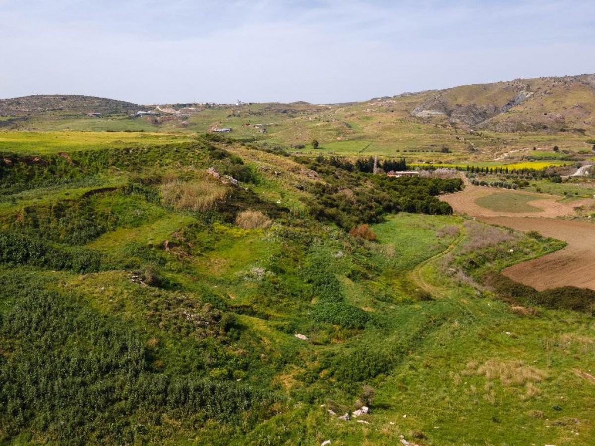 Land in Agia Varvara - Image 4