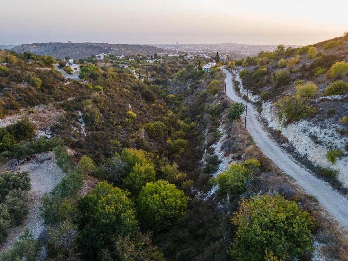 Field - Armou, Paphos