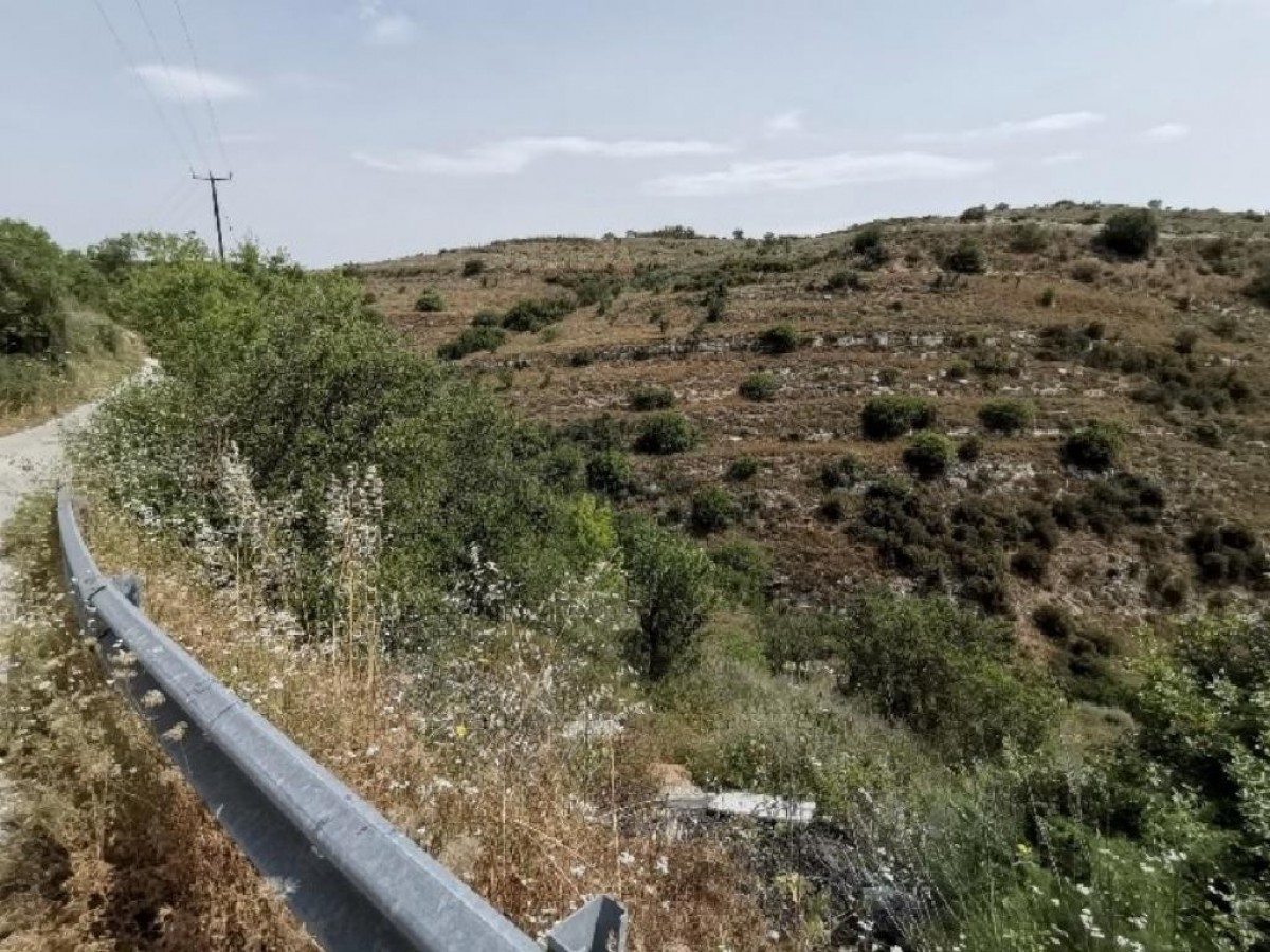 Tsada, Paphos Agricultural Land For Sale | DT1023