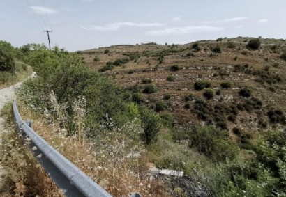 Tsada, Paphos Agricultural Land For Sale | DT1023