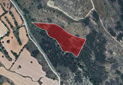 Tsada, Paphos Agricultural Land For Sale | DT1023