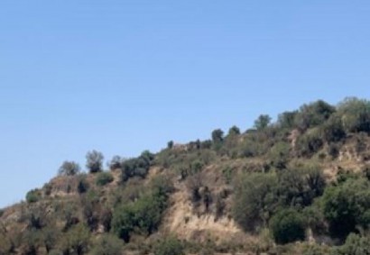 Eledio, Paphos Residential Land For Sale | DT1043
