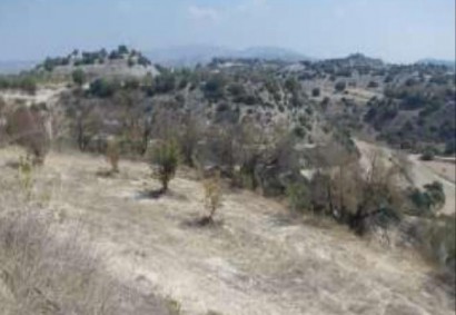 Eledio, Paphos Residential Land For Sale | DT1043