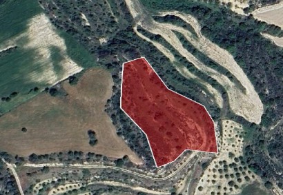 Eledio, Paphos Residential Land For Sale | DT1043