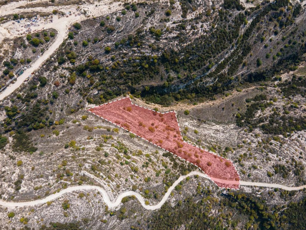 Field - Tsada, Paphos
