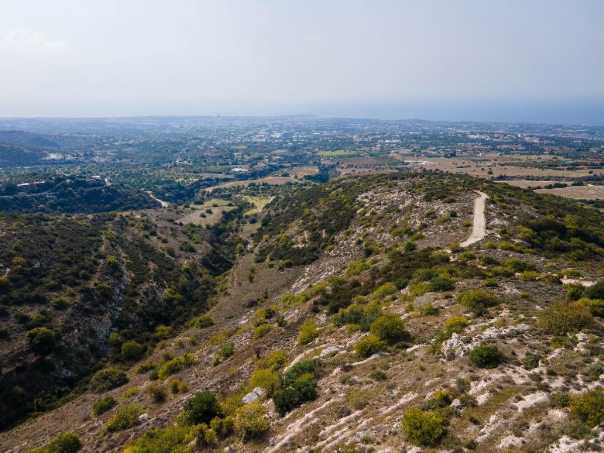 Field - Tsada, Paphos