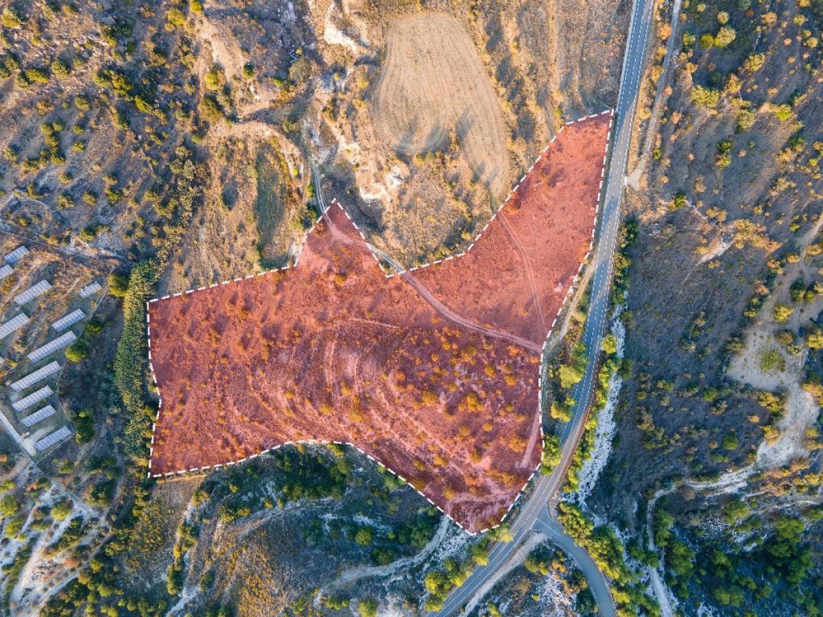 Field - Pentalia, Paphos