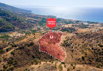 Pomos, Paphos Agricultural Land For Sale | DT1076