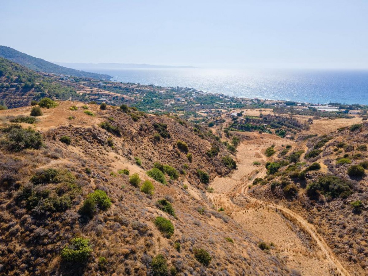 Field – Pomos, Paphos
