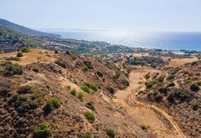 Pomos, Paphos Agricultural Land For Sale | DT1076