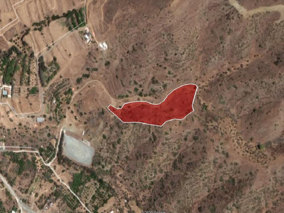 Field – Pomos, Paphos