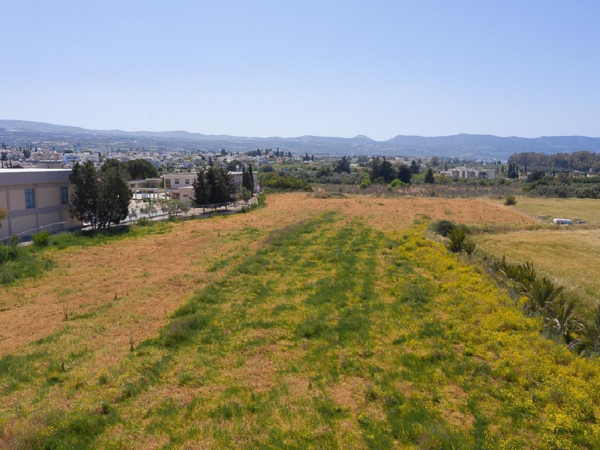 Field - Polis Chrysochous, Paphos