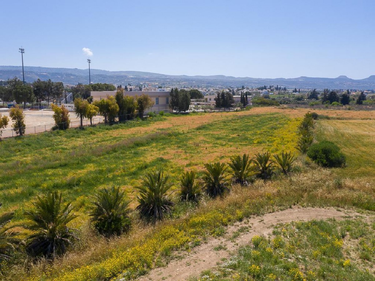 Field - Polis Chrysochous, Paphos