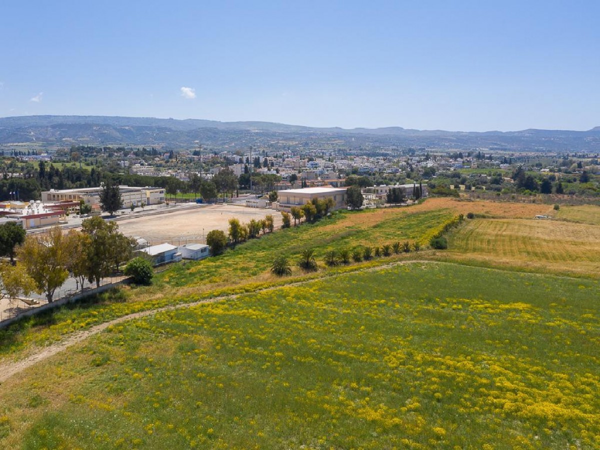 Field - Polis Chrysochous, Paphos