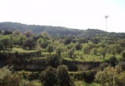 Lemona, Paphos Agricultural Land For Sale | DT1106