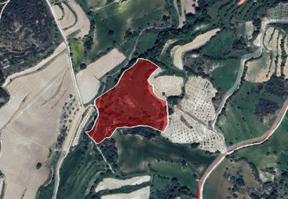 Lemona, Paphos Agricultural Land For Sale | DT1106