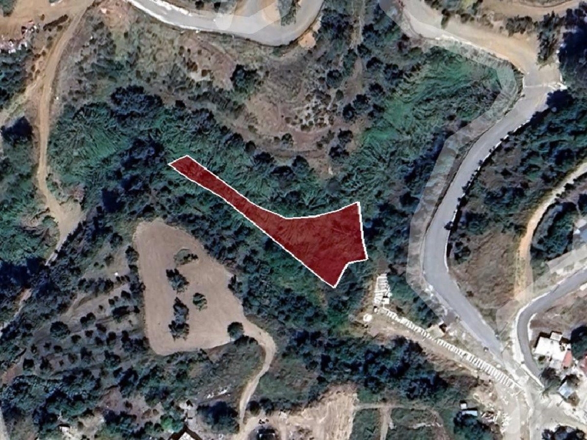 Field - Argaka, Paphos