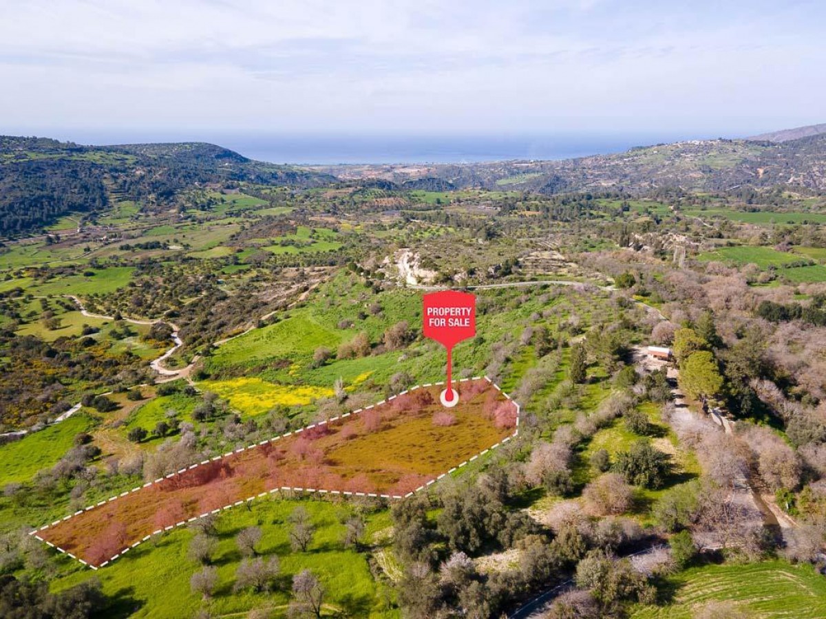 Lysos, Paphos Agricultural Land For Sale | DT1109