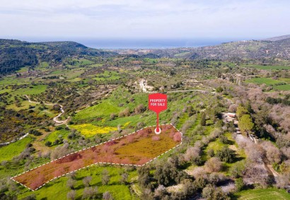 Lysos, Paphos Agricultural Land For Sale | DT1109
