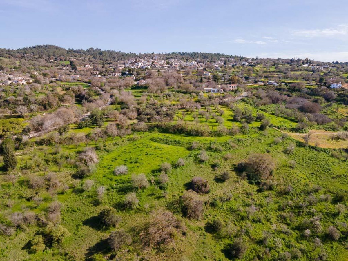 Field - Lysos, Paphos