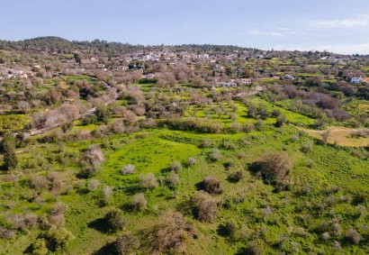 Lysos, Paphos Agricultural Land For Sale | DT1109