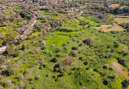 Lysos, Paphos Agricultural Land For Sale | DT1109