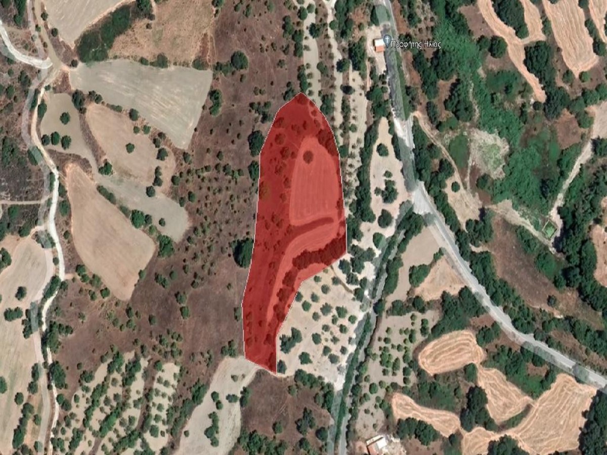 Field - Lysos, Paphos