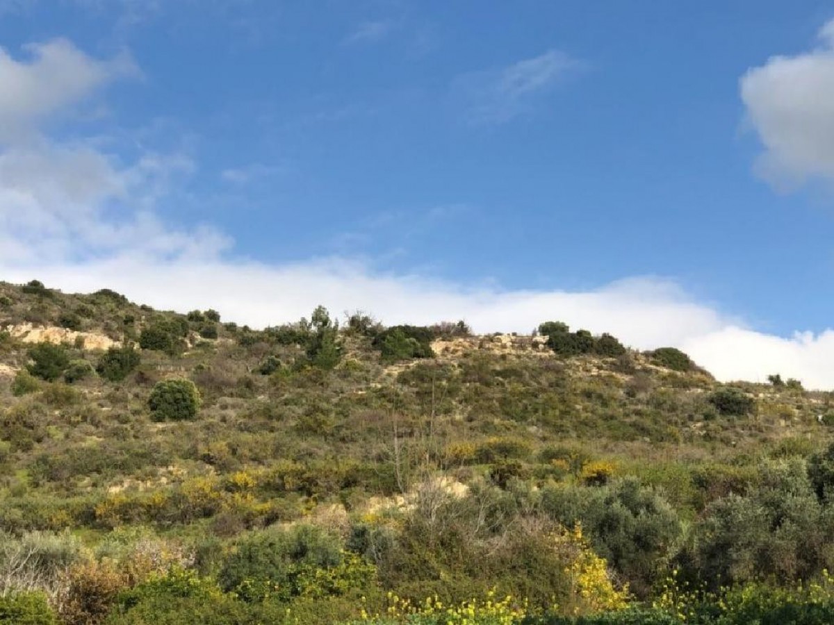 Peristerona, Paphos Agricultural Land For Sale | DT1110