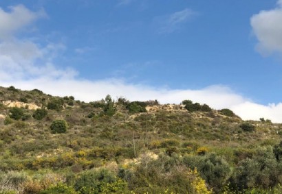 Peristerona, Paphos Agricultural Land For Sale | DT1110