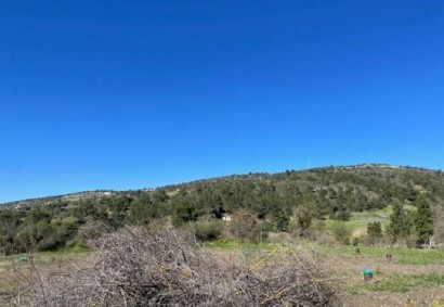 Peristerona, Paphos Agricultural Land For Sale | DT1110