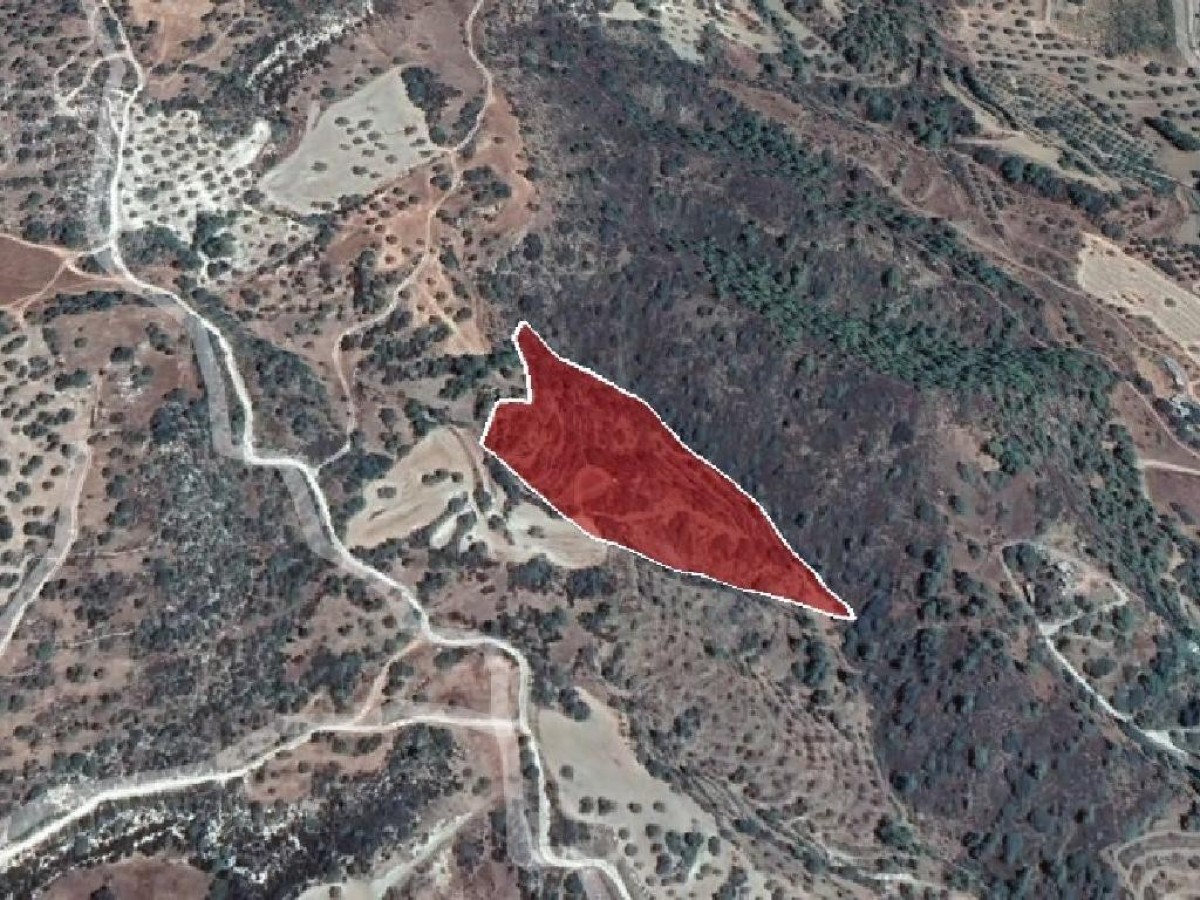Field - Peristerona, Paphos