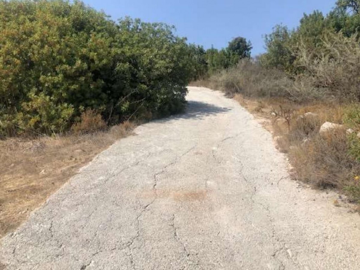 Peristerona, Paphos Agricultural Land For Sale | DT1111