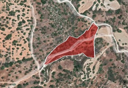 Peristerona, Paphos Agricultural Land For Sale | DT1111