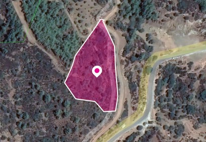 Lysos, Paphos Agricultural Land For Sale | DT1122