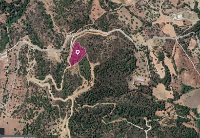 Lysos, Paphos Agricultural Land For Sale | DT1122