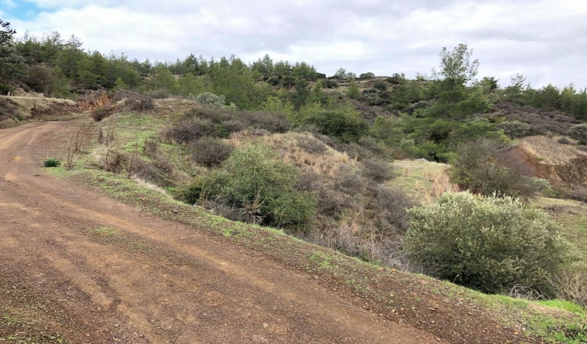 Agricultural field, Lysos