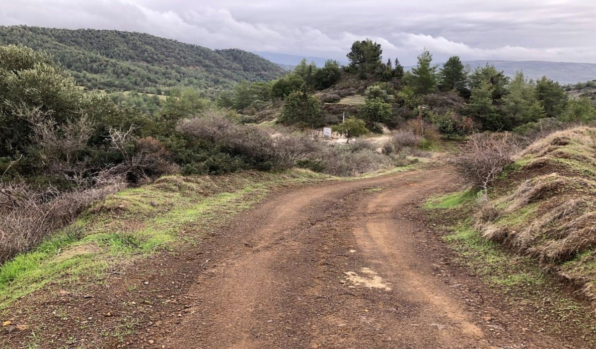 Agricultural field, Lysos