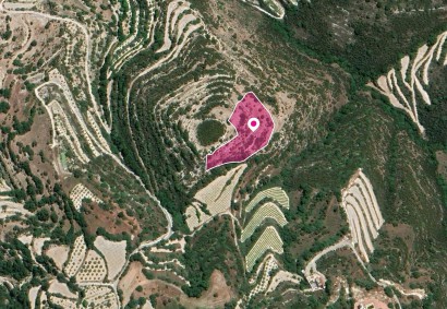 Koili, Paphos Residential Land For Sale | DT1128