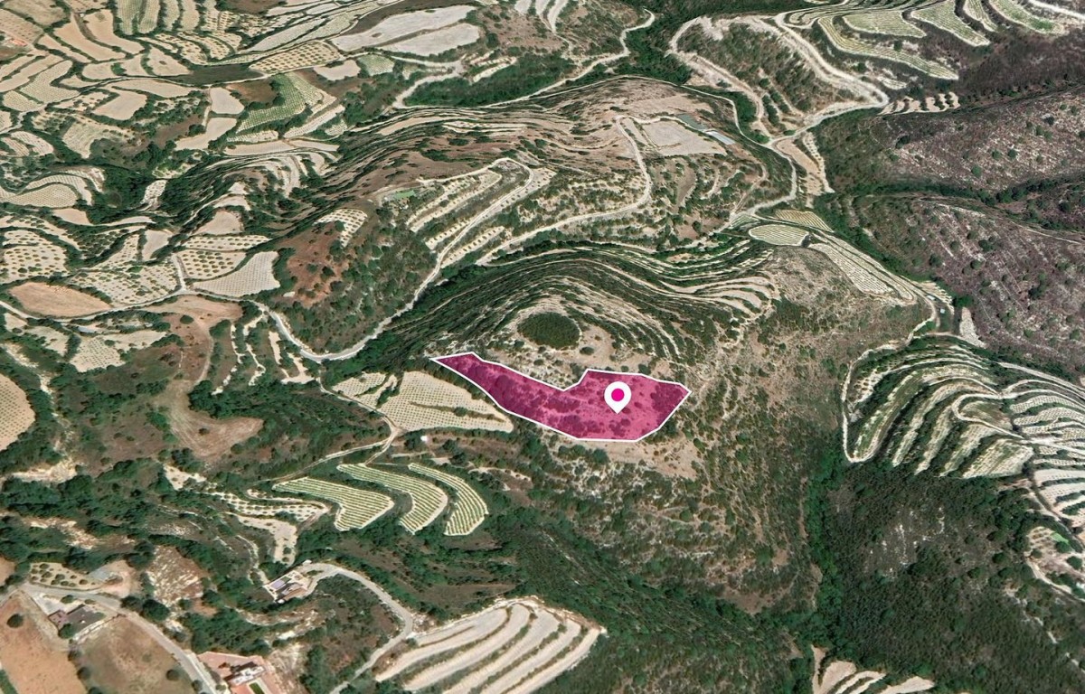 Agricultural Field, Koili, Paphos