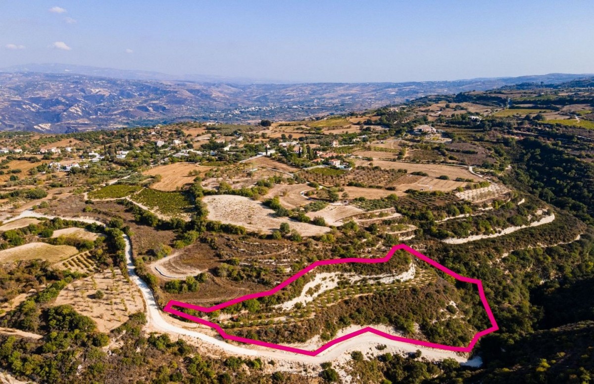 Agricultural field, Pano Akourdaleia