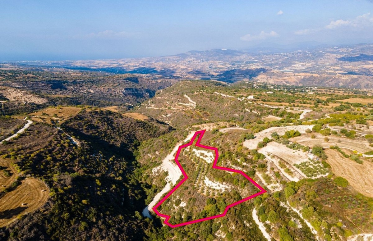 Agricultural field, Pano Akourdaleia