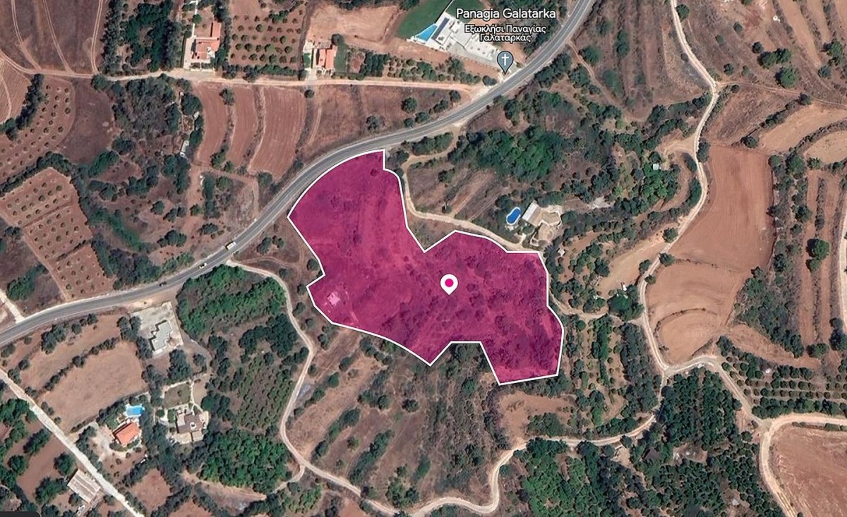 Shared Field, Pomos, Paphos