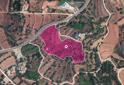 Pomos, Paphos Agricultural Land For Sale | DT1135