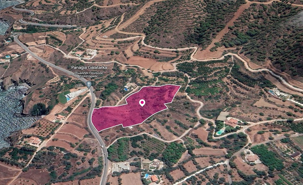 Shared Field, Pomos, Paphos