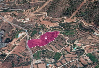 Pomos, Paphos Agricultural Land For Sale | DT1135