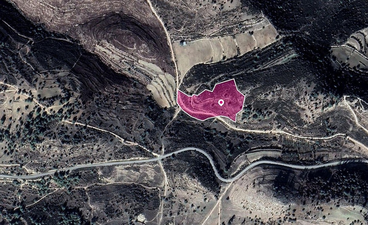 Mousere, Paphos Agricultural Land For Sale | DT1137
