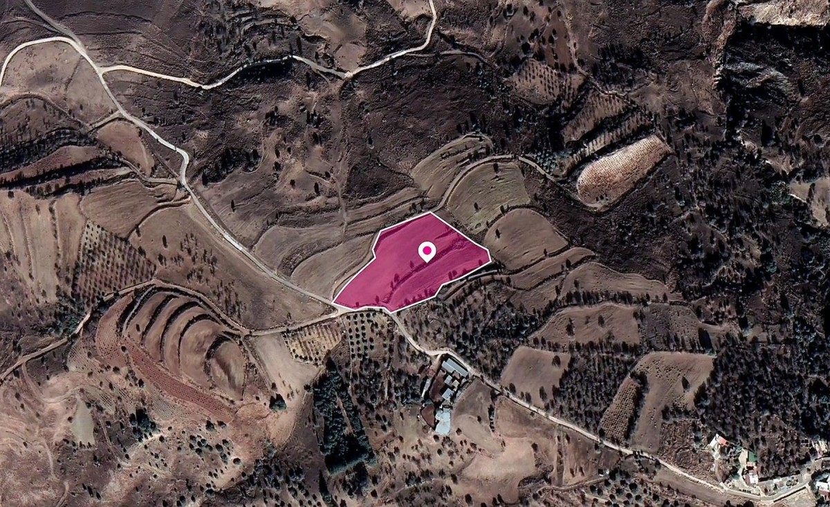 Shared Residential Field, Kelokedara, Paphos