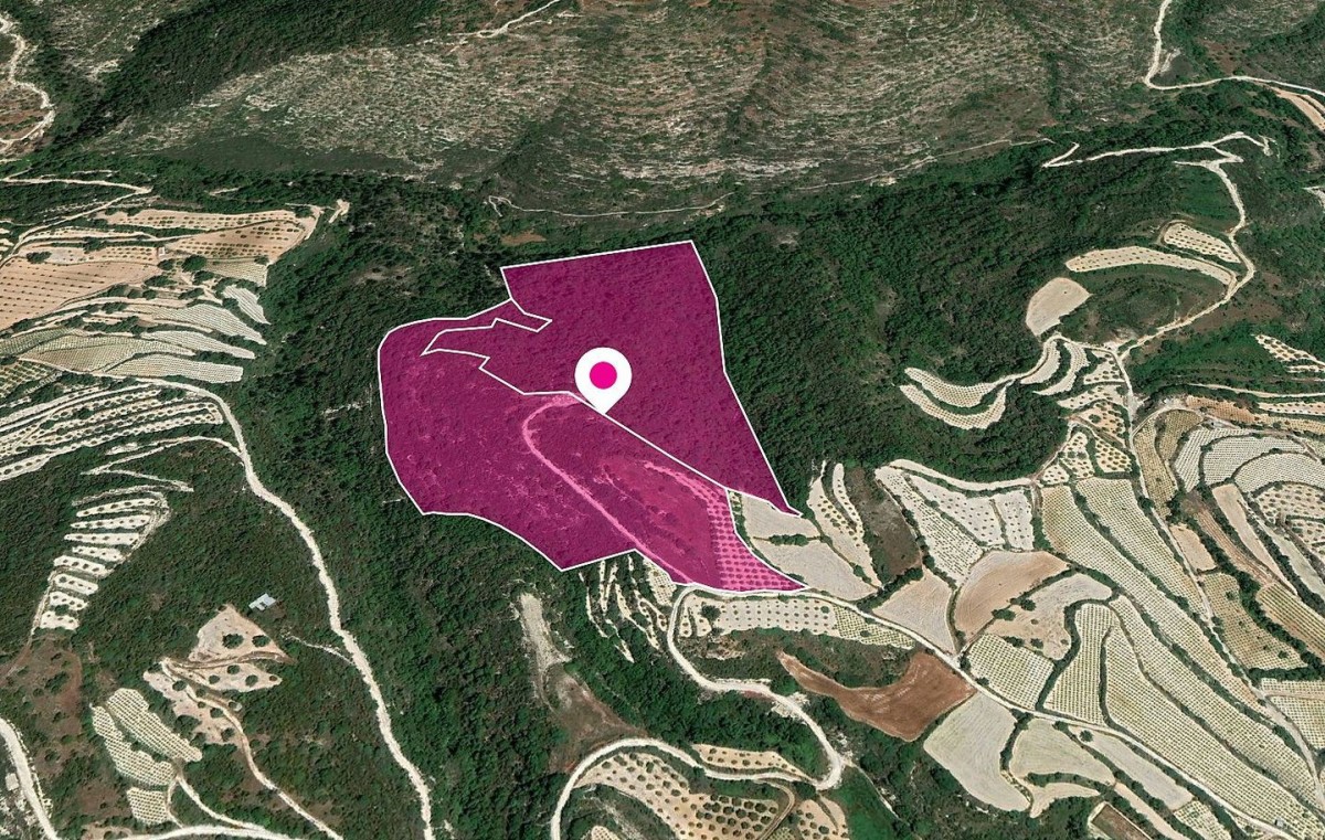 Koili, Paphos Agricultural Land For Sale | DT1145