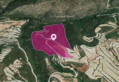 Koili, Paphos Agricultural Land For Sale | DT1145